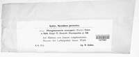 Image Associated With the Occurence